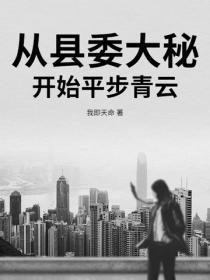 从县委大秘开始平步青云