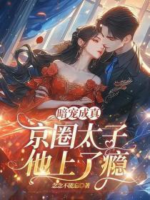 暗宠成真，京圈太子他上了瘾